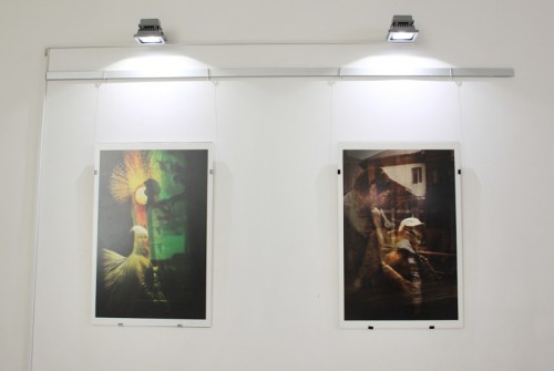 Выставка Дениса Тарасова «ЗООрефлексия»